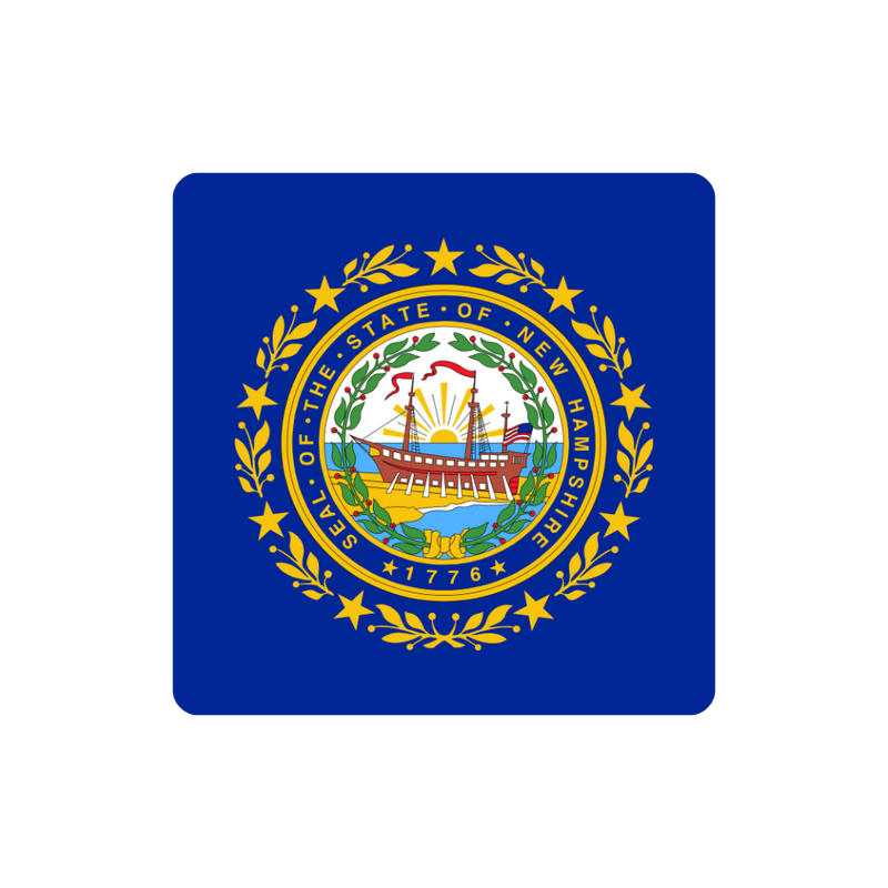 Flag of the State of New Hampshire with a blue background and central emblem.