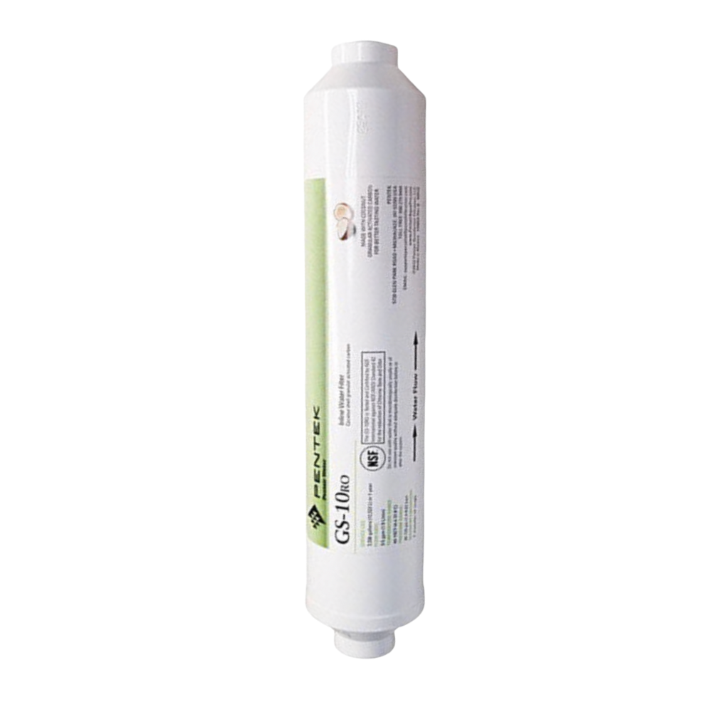 Pentek GS-10CAL/RO Remineralizing Carbon Filter 255541-43